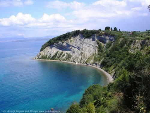 Amazing View Appartement